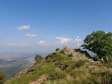 Journée du patrimoine : Itinérance historique et mémorielle à travers le champ de bataille