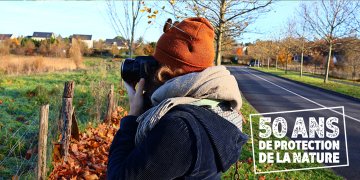 Initiation à la photographie animalière