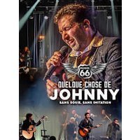 Quelque chose de johnny