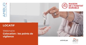 Colocation : les points de vigilance