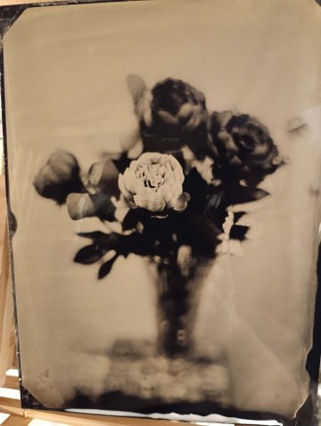 Atelier : Portraits au collodion humide