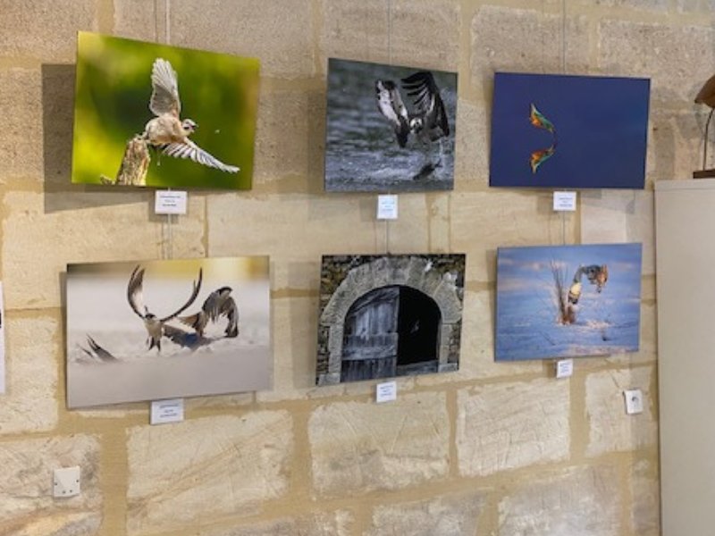 Exposition photo "A chacun son Terres d'Oiseaux"