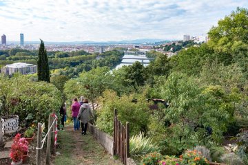 Visite guidée les Jardins Municipaux Ouvriers