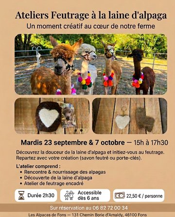 Ateliers feutrage à la ferme des Alpagas de Fons