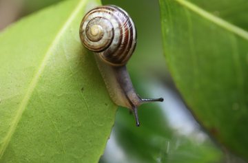 Les 24h de la biodiversité