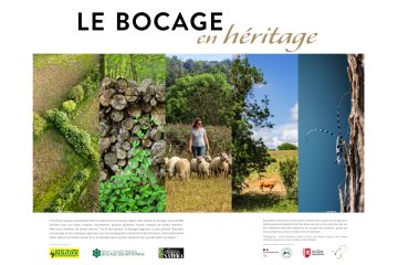 Exposition photos : "Le bocage en héritage"