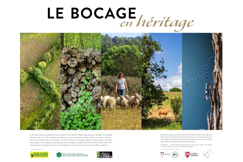Exposition photos : "Le bocage en héritage"