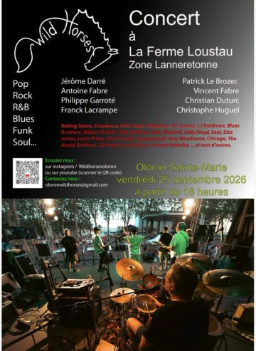 Concert des Wild Horses
