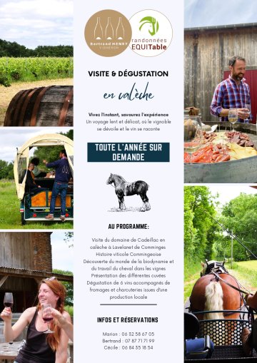 VISITE ET DÉGUSTATION EN CALÈCHE AU DOMAINE CADEILLAC