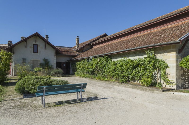 Exposition : les 4 saisons de la vigne