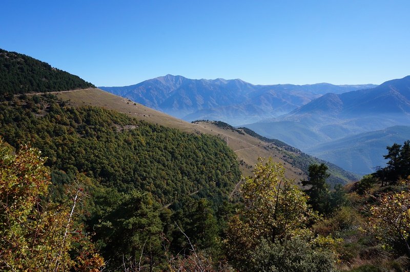 RANDO ACCOMPAGNEE : SENTIER DE DECOUVERTE DE LA RESERVE NATURELLE DE JUJOLS ROC DE LA COSTA