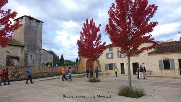 Balade en Chalose de Brocas à Aules