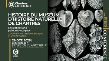 Jeudis de l'archéologie – Histoire du Muséum d’histoire naturelle de Chartres : les collections paléontologiques