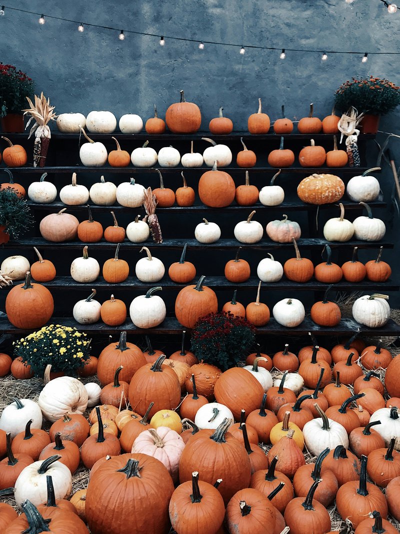 Halloween à Bilhac