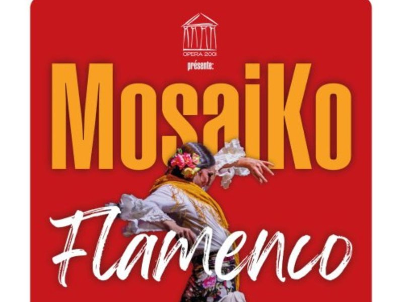 MOSAIKO FLAMENCO