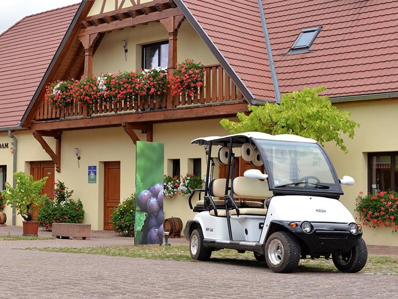 Promenade dans les vignes en véhicule électrique