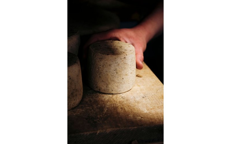 Atelier de fabrication Tommes de Brebis ou Chèvre