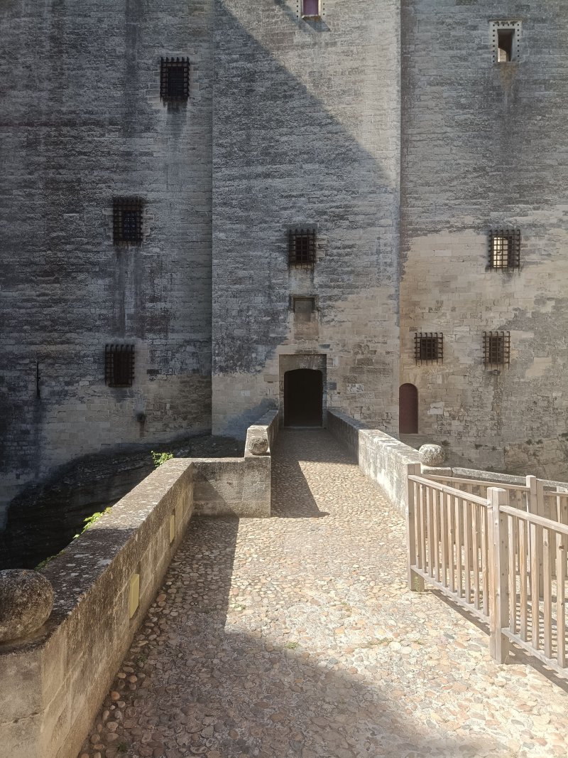 Château de Tarascon : Visites flash