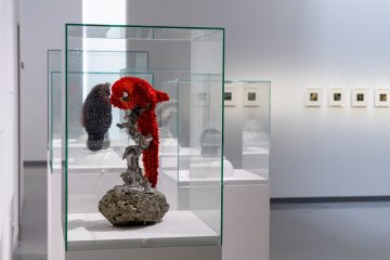Maurizio Galante & Tal Lancman : Haute Couture, Design, Art