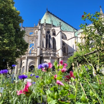 Visites commentées du jardin médiéval