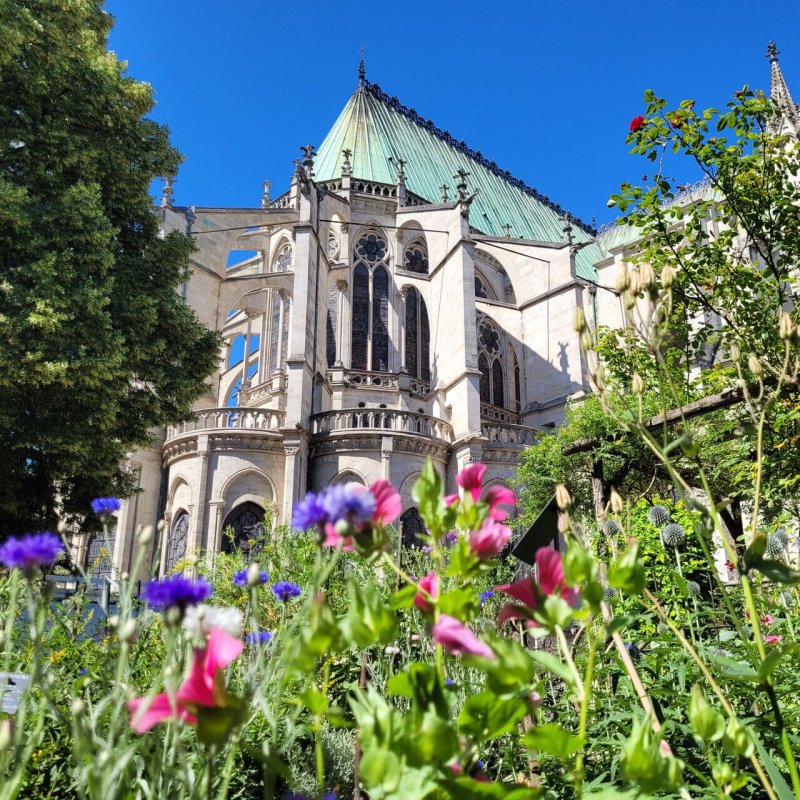 Visites commentées du jardin médiéval