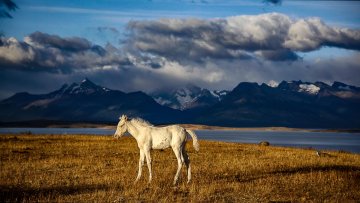 CONNAISSANCE DU MONDE - Patagonie