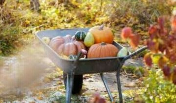 Session jardinage d'automne