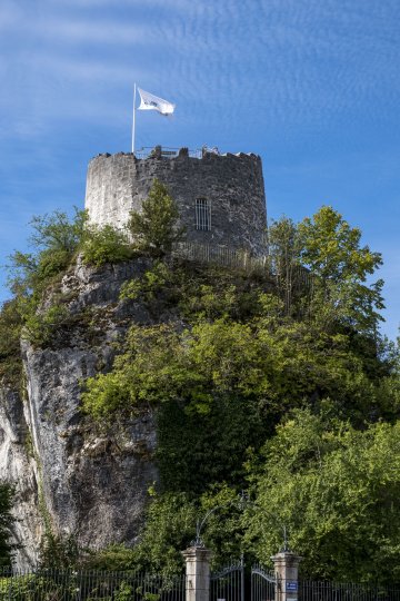 La Tour des comtes de Genève