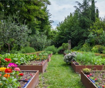 Conférence - Concevoir son jardin nourricier
