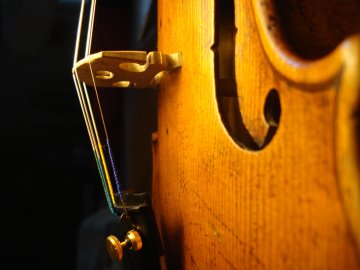 Découverte du métier de luthier - archetier