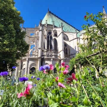 Ouverture exceptionnelle du jardin médiéval