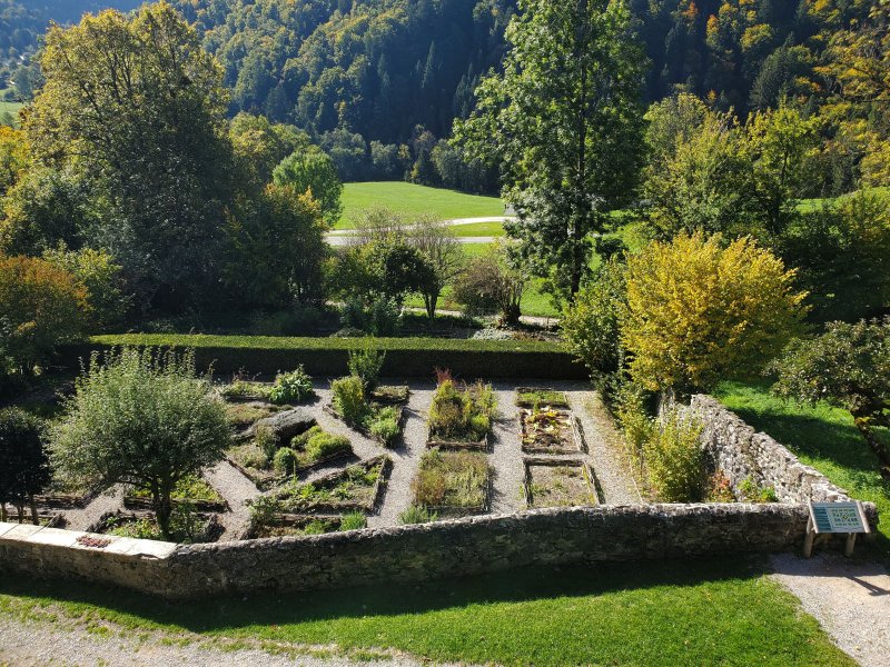 Visite du jardin des Simples