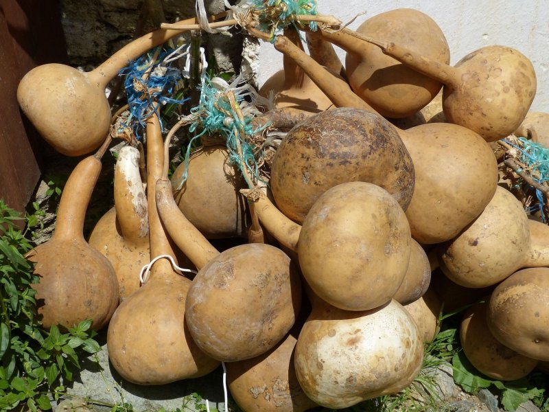 La calebasse fait son musée