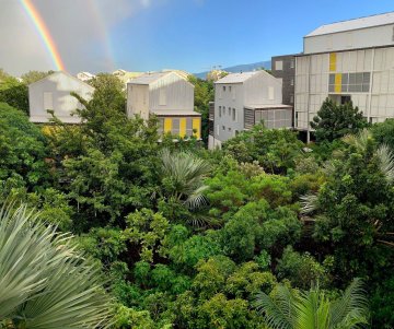 Visite découverte du Jardin Forêt de l'Ilet du Centre