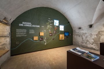 Visite de l'espace de médiation des gravures rupestres