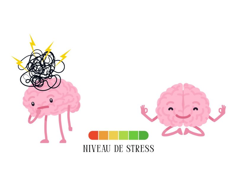 Gestion du stress [Semaines de la santé mentale]
