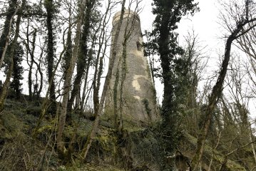 Visite de la Tour de Saussy