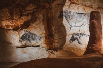 Cosquer Méditerranée - Mini-conférence : « La disparition des œuvres millénaires dans la Grotte Cosquer ».