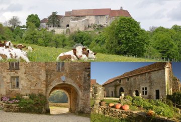 Visite, animations médiévales, combats, saynète.