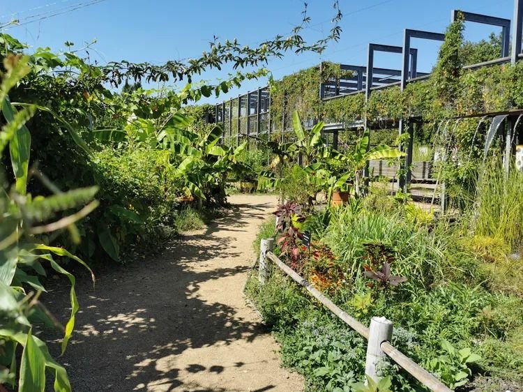 Journées Européennes du Patrimoine aux Jardins du Muséum à Borderouge