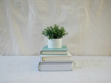 Photographie : Un livre, une plante