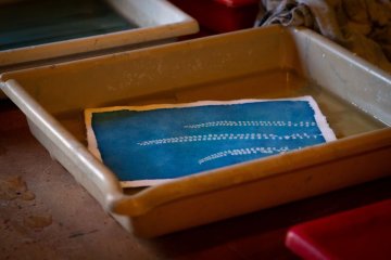 Atelier cyanotype
