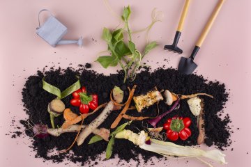 Formation aménagements : Et si mes déchets végétaux rendaient mon jardin plus beau ?