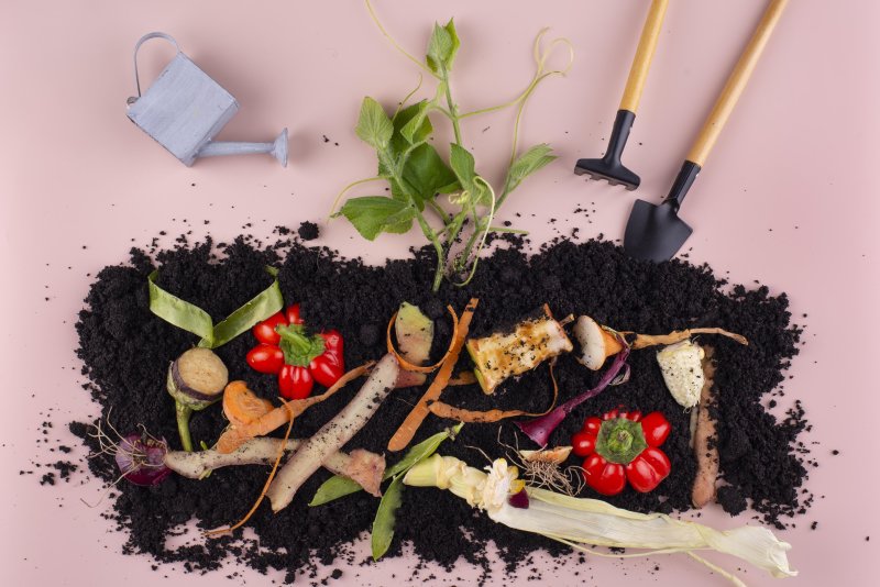Formation aménagements : Et si mes déchets végétaux rendaient mon jardin plus beau ?