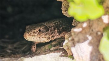 Connaître pour protéger