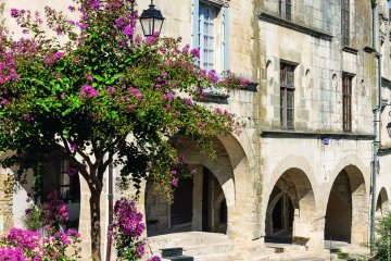 Fleurs et patrimoine : un nouveau regard sur la ville