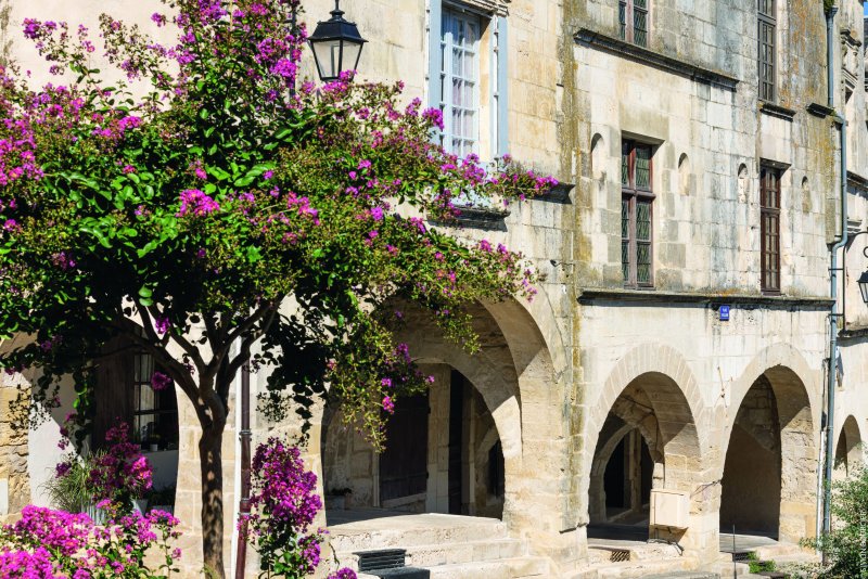 Fleurs et patrimoine : un nouveau regard sur la ville