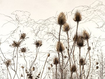 Exposition : "De la ligne à l’empreinte : Variation autour du trait"