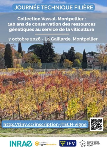 Journée technique consacrée aux ressources génétiques de la vigne