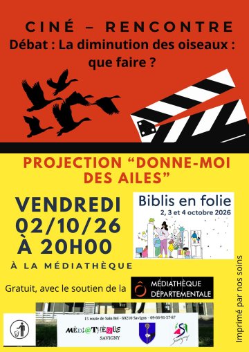 Projection du film "Donne-moi des ailes"